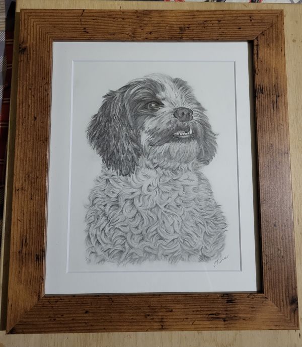 Commission a drawing of your beloved pet