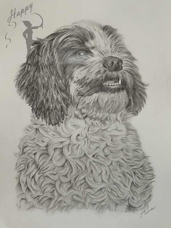 Sketch Pixie Watermarked