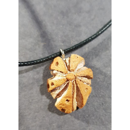 Avocado Stone Abstract